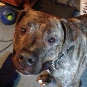 Meet your Posher, Nate